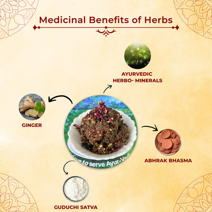 Ginger Masti | Ayurvedic Sweet