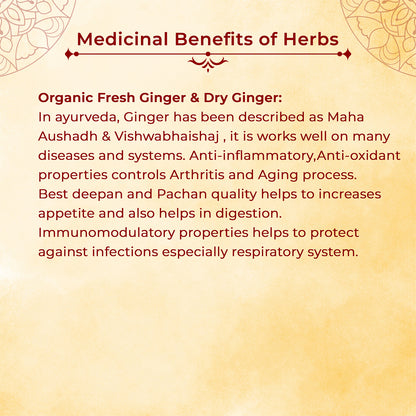 Ginger Masti | Ayurvedic Sweet