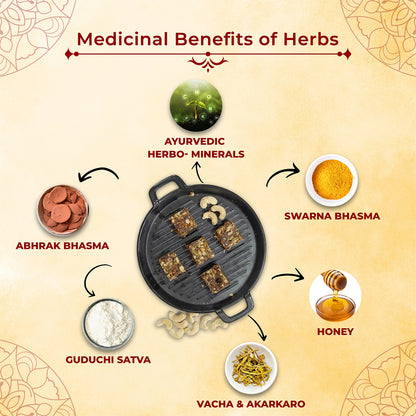 Immune Masti | Ayurvedic Sweet