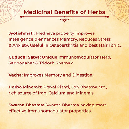 Mann Masti | Ayurvedic Sweet