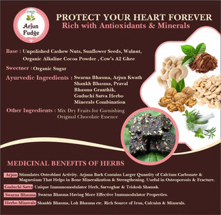 Ayurvedic Sweet | Arjun Fudge