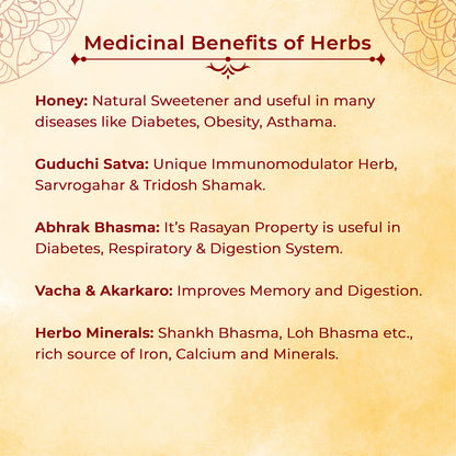 Satvamrit - A RICH PROTEIN SWEET (No Added Sugar) / Ayurvedic Sweet