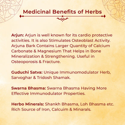 Arjun Fudge - PROTECT YOUR HEART FOREVER / Ayurvedic Sweet