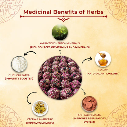 Satvamrit - A RICH PROTEIN SWEET (No Added Sugar) / Ayurvedic Sweet